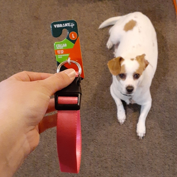 vibrant life collar
